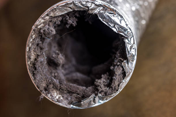 Best HVAC System Cleaning  in San Buenaventura, CA